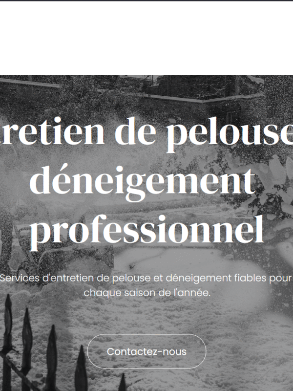 Solution RSI digital project 1